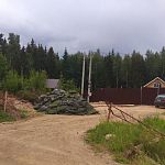Вторая жизнь газона со стадиона "Заря".  