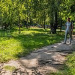 Тропинки, которые пора бы заасфальтировать