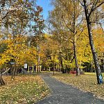 Прогулка по Беличьему парку — Краснознаменск