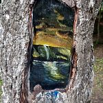 В Беличьем парке появились новые произведения искусства на деревьях