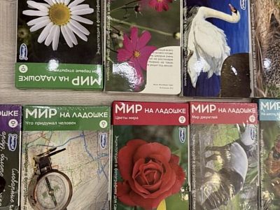 Энциклопедия мир на ладошке 23 коробочки