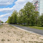 Краснознаменцы, какое озеленение вы бы хотели увидеть вдоль ул. Победы?