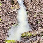 "Прозрачный" ручей в городском парке