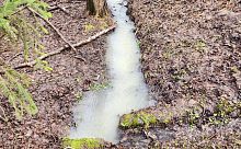 "Прозрачный" ручей в городском парке