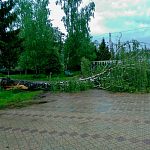 Легендарная плакучая берёза game over...