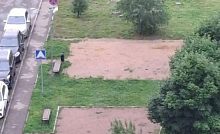 Вырубают деревья под площадки