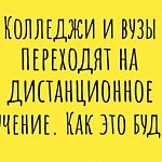 Колледжи и вузы Подмосковья переходят на дистанционное обучение 