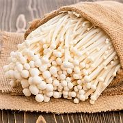 Грибы эноки