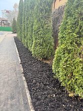 Пост благодарности