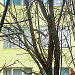 Красотки нашего городка 