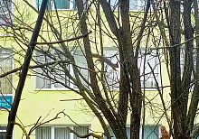 Красотки нашего городка 