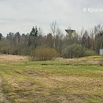 Краснознаменск ждёт асфальтирования лыжной трассы 