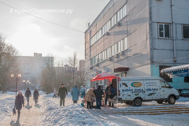 Живая рыба!
