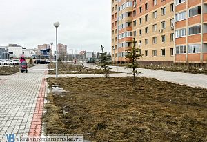 Фруктовые аллеи "на связистов"