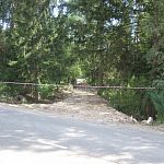 На ул. Кобяковской под коттеджи валят лес