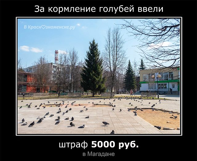 =)
