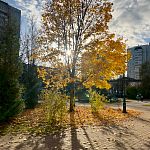 Осенний Краснознаменск 2021-2026 гг