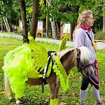 В Беличьем парке проходит катание на пони — Краснознаменск