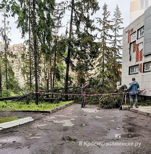 Дерево упало на здание медицинского центра КДЛ 10.