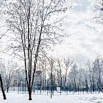 Воскресная прогулка по Беличьему парку 