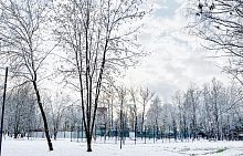 Воскресная прогулка по Беличьему парку