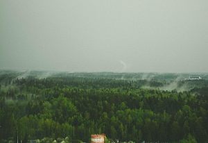 Из окна