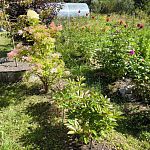 Продам, 70 кв.м, 6 соток, Отдельный дом — Краснознаменск