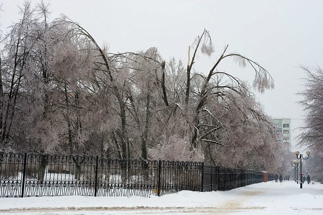 Последствия ледяного дождя. Краснознаменск, Гимн