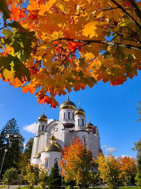 Золотая осень, золотые купола
