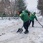 Снег нужно чистить, а не посыпать солью