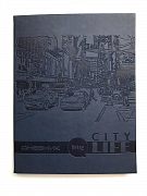 Дневник школьника Big city life