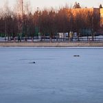 Весенняя прогулка по городу 2011 года