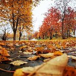 Осенние фотокарточки города — Краснознаменск