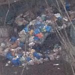 Наблюдаю данную картину уже второй день на мусорке между домами 12 и 14 на улице Победы