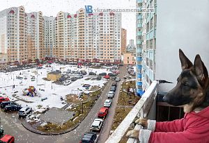 Похолодало