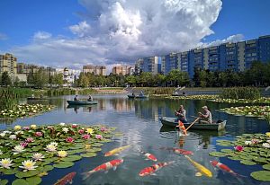 Осенняя рыбалка на городском озере