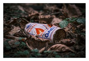 Королевский газДень | Осень 25Городской парк