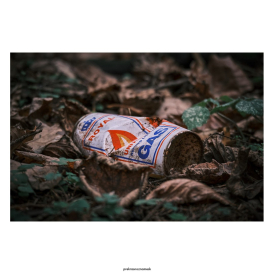 Королевский газДень | Осень 25Городской парк