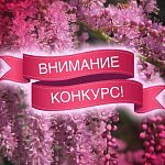 По указанию главы Краснознаменска Игоря Головатика в 2026 году запланировано проведение конкурса «Лучший палисадник»