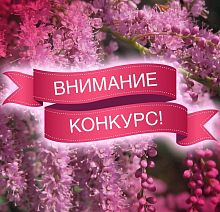 По указанию главы Краснознаменска Игоря Головатика в 2026 году запланировано проведение конкурса «Лучший палисадник»