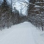 Сегодня уложили Лыжную трассу!