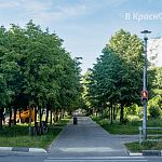 О ремонте теплосети и вырубке деревьев на ул. Победы