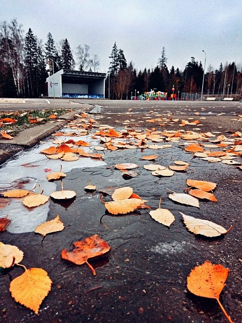 Морозное утро в Краснознаменске