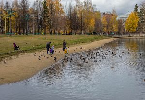 Вот и осень наступилаУ озера
