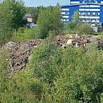 Мусорка рядом с лыжной трассой выросла в разы