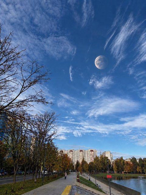 Луна над городским озером