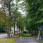 Руки дровосека добрались и до деревьев на проспекте Мира, 1