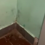 Октябрьская 6 первый подъезд, уборщица видимо уже год на самоизоляции.  А как убирают в вашем подъезде?