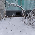 Вот такой доступ с улицы в подвал я увидела на ул. Победы, 10