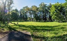 Лужайка в Беличьем парке